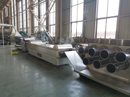 ซื้อ 55kw 6400 Dtex Nylon Extruder Machine ตกแต่งสวน online manufacture